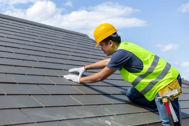 Best Roof Maintenance Services  in Glespie, IL