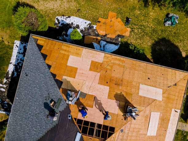 Best Roof Repair Specialists  in Glespie, IL