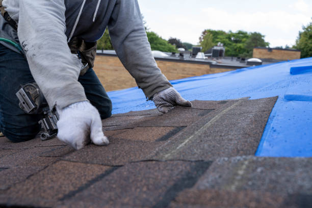 Best Local Roofing Companies  in Glespie, IL