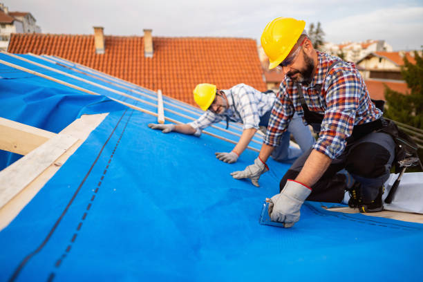 Best Roof Restoration Services  in Glespie, IL