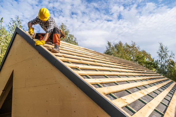 Best Roof Inspection Near Me  in Glespie, IL