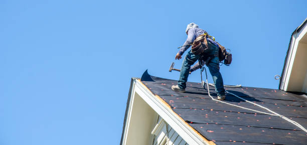 Best Residential Roofing Contractor  in Glespie, IL